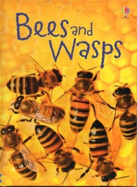 Bees and wasps