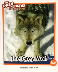 The grey wolf