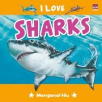 I love sharks: mengenal hiu