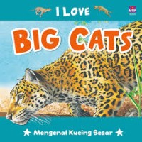 I love big cats: mengenal kucing besar