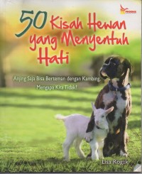 50 Kisah hewan yang menyentuh hati: anjing saja bisa berteman dengan kambing, mengapa kita tidak?