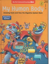 My human body: amazing facts and how the digestive system work