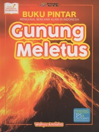 Buku pintar mengenal bencana alam di indonesia: gunung meletus