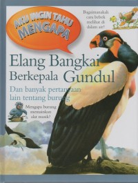 Aku ingin tahu: elang bangkai berkepala gundul dan banyak pertanyaan lain tentang burung